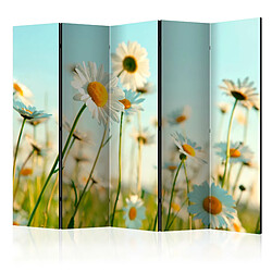 Artgeist Paravent - Daisies - spring meadow II [Room Dividers] [225x172]