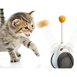 Acheter Universal Jouet interactif pour chat avec chat menthe rouleau rouleau stick autocollant QI QI amélioration entraînement jouets chaton divertissement produits pour animaux de compagnie | jouets pour chat