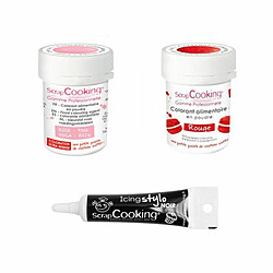 Scrapcooking 2 colorants alimentaires rose poudré-rouge + Stylo glaçage noir