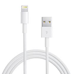 Câble Lightning vers USB Charge & Synchronisation d'origine Apple 1m - Blanc