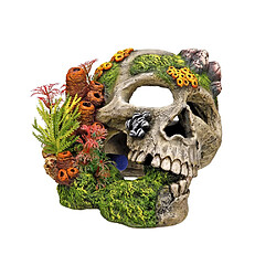 Nobby Crâne avec Plantes Décoration pour Aquarium 19,5 x 16 x 14 cm