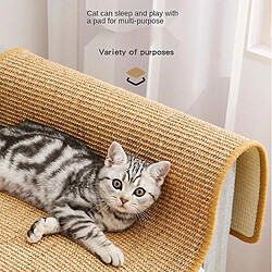 Acheter Universal Corde à égratignure pour chat Tableau en sisal Tableau à égratignure pour chat Tête pointue Clouds Grattoirs Arbre pour chat Jouet Chaise Table Canapé Coussin Protecteur pour meubles (longueur 50 * 80cm)