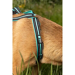 Avis No Name Harnais de traction pour chien - OLYMPIA - XS - Type X-back - Bleu