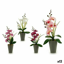 Ibergarden Plante décorative Orchidée Plastique 8 x 35 x 14 cm (12 Unités)