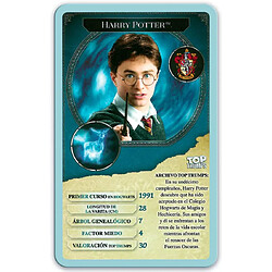 HARRY POTTER Puzzle 1000 pièces (12319), multicolore (ELEVEN FORCE 1)