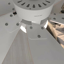 Acheter Cecotec Ventilateur de plafond EnergySilence Aero 3600 Vision Nude