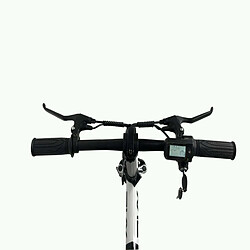 Vélo Électrique PVY S2 - Moteur 250W Batterie 36V7.5AH Freins à Disque Mécaniques 60KM Autonomie - Noir et blanc pas cher