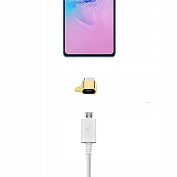 GUPBOO Adaptateur Micro USB vers TYPE-C avec chaîne en or,JL1080