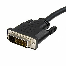 StarTech.com DP2DVIMM6 Câble Adapteur DisplayPort® vers DVI de 1.8 m Convertisseur DP 1x DisplayPort Mâle 1x DVI-D Mâle 1920x1200