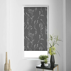 Paris Prix Store Enrouleur Tamisant Forelista 60x90cm Anthracite