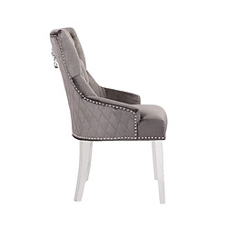 Acheter Vivenla Lot de 2 Chaises de salle à manger contemporain avec capitonnage et anneau décoratif tête de lion à l'arrière revêtement en velours gris foncé et piètement en acier inoxydable poli argenté collection MADISON