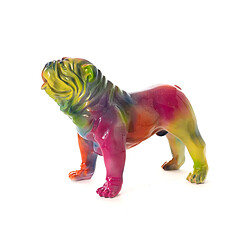 Amadeus Bulldog USA Rainbow M