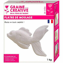 Graines Creatives Plâtre de moulage 2 kg