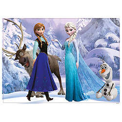 Disney La Reine des neiges ? Puzzle Double Face Douce SU