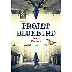 Projet Bluebird