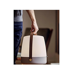 Avis Lampe haut-parleur - portable et sans fil - connexion bluetooth et son haute fidélité, couleur taupe - Lite-up Play Earth - KOODUU