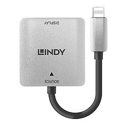 Lindy Convertisseur USB Type C vers VGA