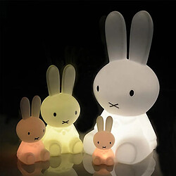 Avis Universal Lumière lumineuse de dessin animé, lumière colorée Miffy lapin 28cm (blanc)