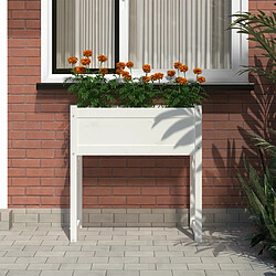 Avis Maison Chic Jardinière,Bac à fleurs - pot de fleur Blanc 78x40x81 cm Bois massif de pin -GKD45708