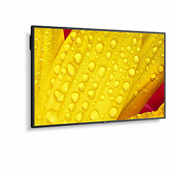 Écran NEC 60005048 43" 4K Ultra HD LED 43" IPS 50-60 Hz