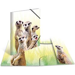 HERMA Chemise à élastiques Animaux exotiques, A3, suricates ()