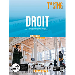 Droit terminale STMG - Occasion