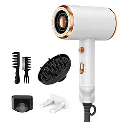 Sèche-cheveux avec diffuseur Sèche-cheveux Peigne Brosse 1800W Sèche-cheveux ioniques avec diffuseur Soins capillaires à température constante Sans Dama