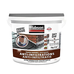 RUBSON Anti-infiltrations Toutes Toitures Gris 1kg