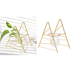 Avis Vase En Verre De Plante Hydroponique Bonsaï Pot De Fleur Cadre Home Decor Triangle