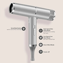 Acheter Universal Sèche-cheveux à sec puissant en T 1200W Thermostat à sec rapide 3 boutons de soufflage avec flocons de neige indépendants(Argent)