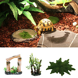 Acheter Aquarium Terrarium Tank Aménagement Paysager Fish Tank 15,5x10x2cm