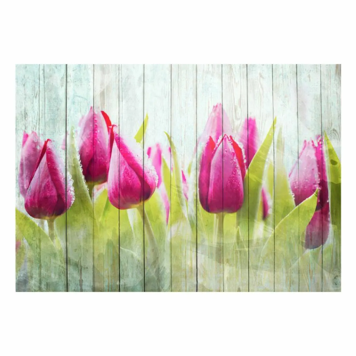 Paris Prix Papier Peint Tulips on White Wood 105 x 150 cm