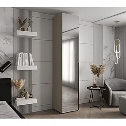 Abiks Meble Inova 1 Armoire avec miroir et portes battantes 236,7/50/47 1 Portes (gris/nero)