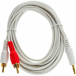 InLine 1.5 m 2 x RCA mâle vers câble Audio stéréo 3,5 mm mâle ? Blanc/Doré