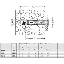 Acheter Cheville à douille acier électrozingué Fischer pour fixations lourdes TA M 90248