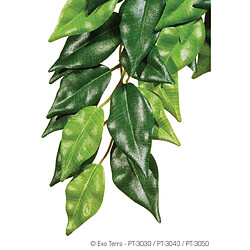 Exoterra Plante Ficus 20x55cm - Exo Terra