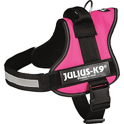 Julius K9 Harnais Power Julius-K9 - 0 - M-L : 58-76 cm-40 mm - Fuchsia - Pour chien