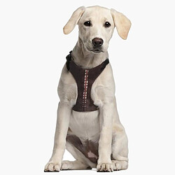 Avis Star Wars Harnais pour Chien - Marron M/L