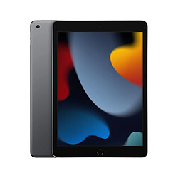 Tablette Apple iPad 10,2" A13 64 GB Gris