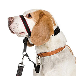 Avis THE COMPANY OF ANIMALS Halti Optifit Collier Anti-Traction pour Chiens M