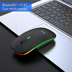 Acheter Universal Souris sans fil Bluetooth RVB souris rechargeable de souris 2,4 GHz mause silencieuse mause ergonomique rétro-éclairée