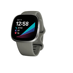 Fitbit FB512SRSG Montre Intelligente 1.58? Bluetooth Synthetic IOS Android Gris Argent