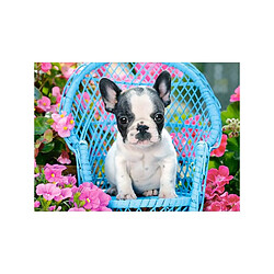 Castorland FRENCH BULLDOG PUPPY