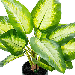 Acheter Plante décorative Alexandra House Living Plastique Aglaonema 50 cm