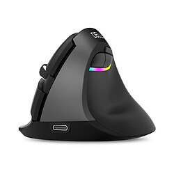 Universal Mini Bluetooth + USB sans fil clic silencieux RGB Ergonomique Rechargeable Vertical Computer Mouse pour les utilisateurs de petites mains | Mouse (noir)