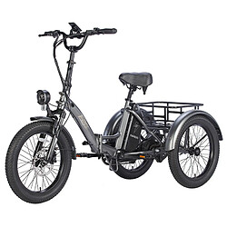 Tricycle électrique FAFREES F20 Mate, moteur sans balais 500 W, batterie 48 V/18,2 Ah, gros pneus 20 x 3,0 pouces - Gris