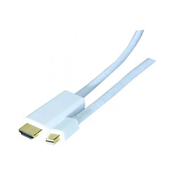 Abi Diffusion Cordon Mini DisplayPort 1.2 m vers HDMI 2.0 m - 2 m