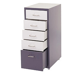 Acheter Decoshop26 Caisson à tiroirs armoire de bureau 69x28x41 cm 5 tiroirs en acier gris foncé blanc 04_0008259