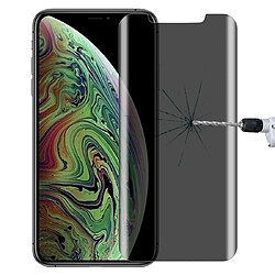 Wewoo Film de verre trempé Protecteur d'écran anti-éblouissant de confidentialité de 0,4 mm de la dureté de surface 9H pour iPhone XS Max