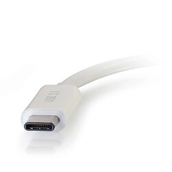 Cables To Go C2G Convertisseur Adaptateur USB-C Vers Vidéo DVI-D - Blanc